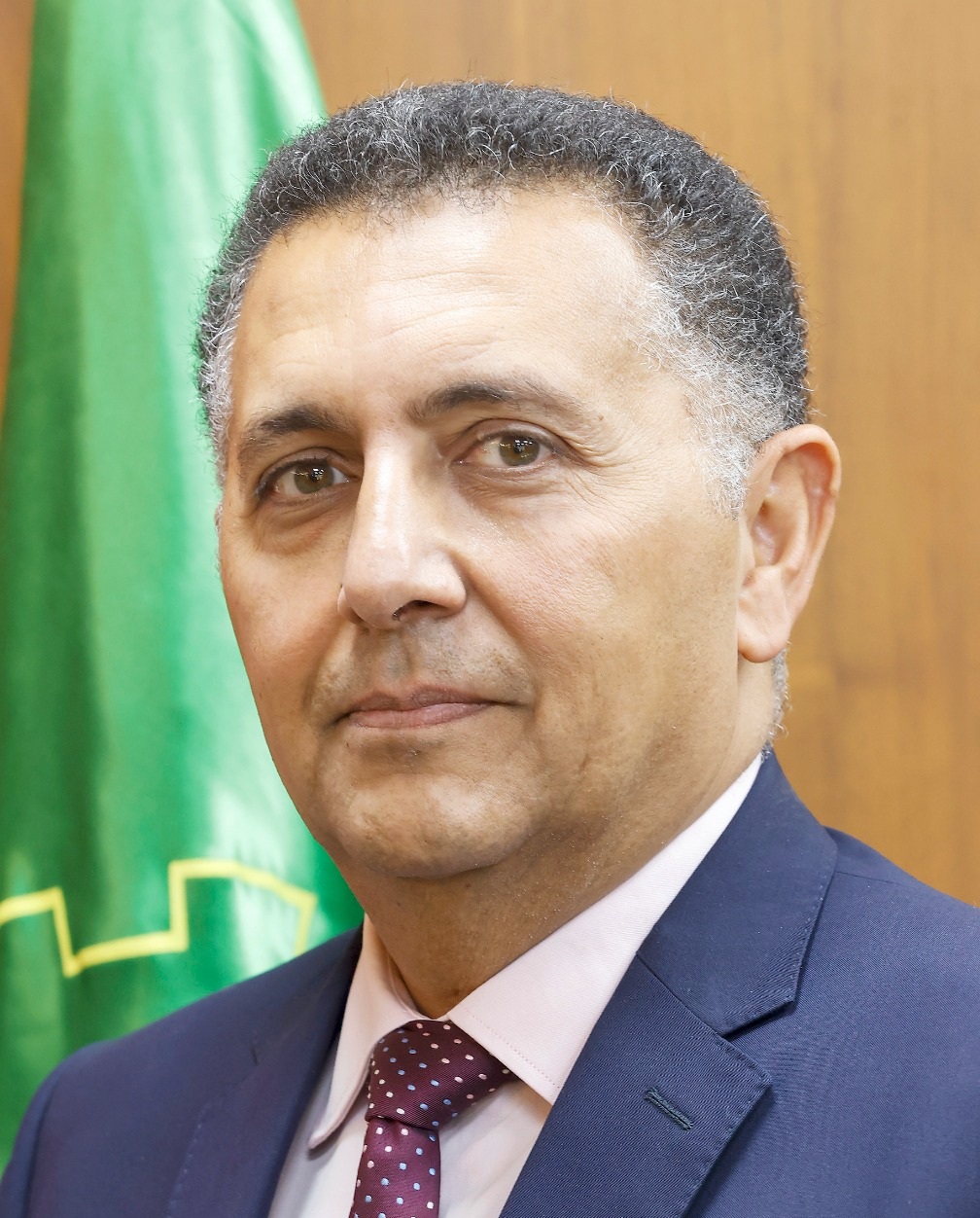 Hossam_eldien.jpeg